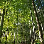 Gdzie Bedzie Ci Lepiej Wiosna W Beskidach, Szyndzielnia W Gorach Widokowe & Biznesowe & Rodzinne & Parking Διαμέρισμα