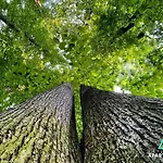 Gdzie Bedzie Ci Lepiej Wiosna W Beskidach, Szyndzielnia W Gorach Widokowe & Biznesowe & Rodzinne & Parking Διαμέρισμα