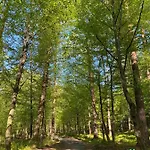 Διαμέρισμα Gdzie Bedzie Ci Lepiej Wiosna W Beskidach, Szyndzielnia W Gorach Widokowe & Biznesowe & Rodzinne & Parking *