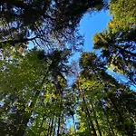 Gdzie Bedzie Ci Lepiej Wiosna W Beskidach, Szyndzielnia W Gorach Widokowe & Biznesowe & Rodzinne & Parking Διαμέρισμα *