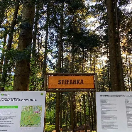 Szyndzielnia Widokowe & Biznesowe & Parking *