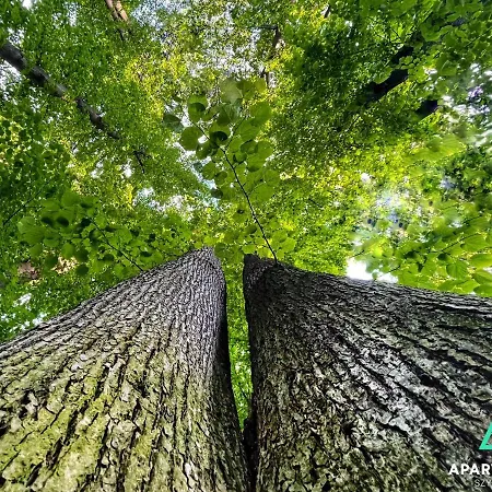 Nowe Szyndzielnia Zapraszamy Apartament