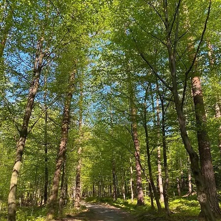 Lejlighed Szyndzielnia Widokowe & Biznesowe & Parking *
