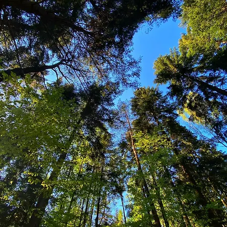 Szyndzielnia Widokowe & Biznesowe & Parking Lejlighed *