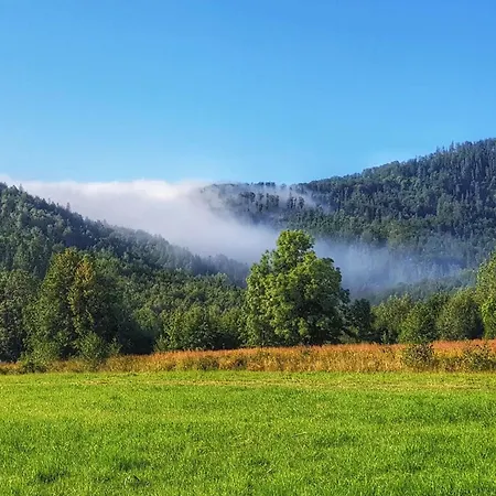 Szyndzielnia Widokowe & Biznesowe & Parking 公寓