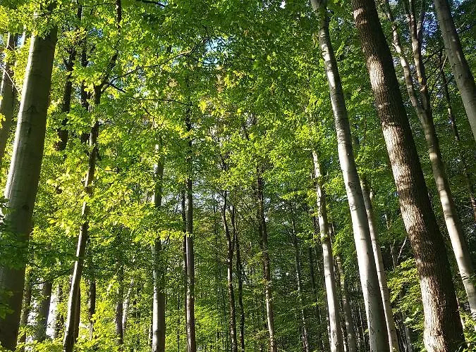 Gdzie Bedzie Ci Lepiej Wiosna W Beskidach, Szyndzielnia W Gorach Widokowe & Biznesowe & Parking Apartman