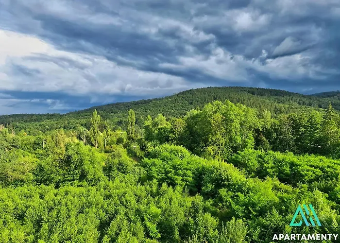 Gdzie Bedzie Ci Lepiej Ferie W Beskidach, Szyndzielnia W Gorach Widokowe & Biznesowe & Parking 아파트