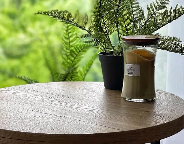 Gdzie Bedzie Ci Lepiej Ferie W Beskidach, Szyndzielnia W Gorach Widokowe & Biznesowe & Parking 아파트