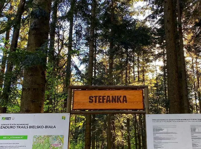 Gdzie Bedzie Ci Lepiej Wiosna W Beskidach, Szyndzielnia W Gorach Widokowe & Biznesowe & Rodzinne & Parking *