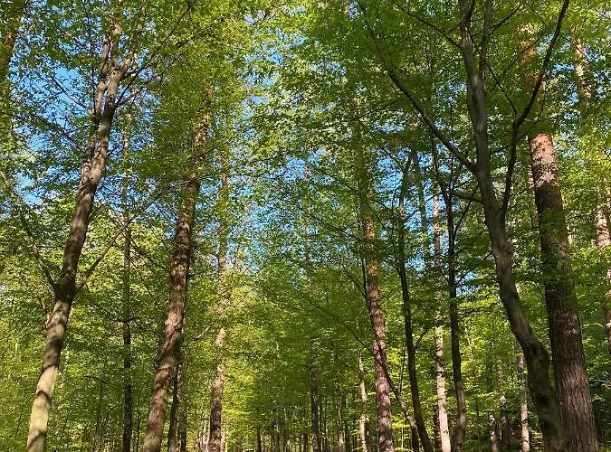 Apartmán Gdzie Bedzie Ci Lepiej Wiosna W Beskidach, Szyndzielnia W Gorach Widokowe & Biznesowe & Rodzinne & Parking *