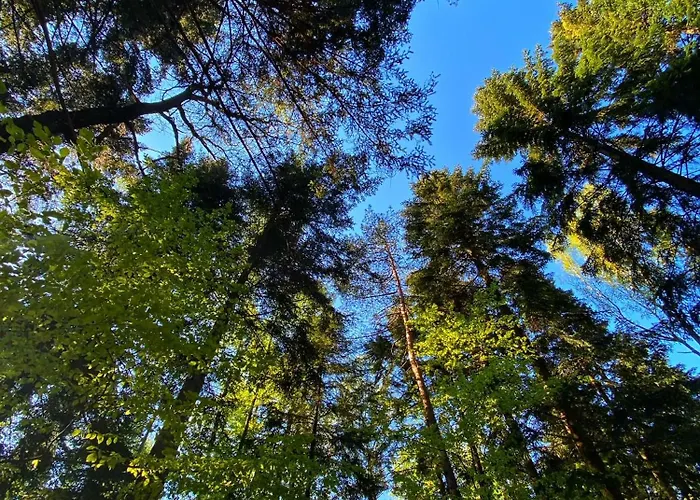Gdzie Bedzie Ci Lepiej Ferie W Beskidach, Szyndzielnia W Gorach Widokowe & Biznesowe & Parking Appartement *