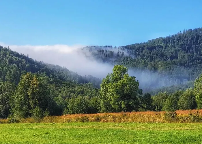 Gdzie Bedzie Ci Lepiej Ferie W Beskidach, Szyndzielnia W Gorach Widokowe & Biznesowe & Parking 아파트