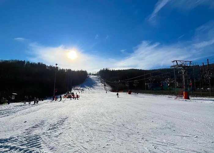 Gdzie Bedzie Ci Lepiej Ferie W Beskidach, Szyndzielnia W Gorach Widokowe & Biznesowe & Parking *